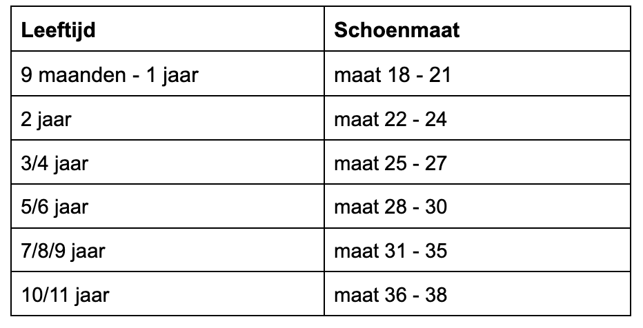 Maatadvies Lions